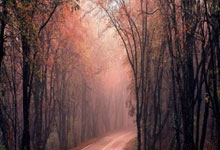 开云体育app-卡尔蒂斯防线稳固，力拼利物浦全力拿分