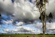 开云体育官方网站-曼联严阵以待，防守端力求零封对手