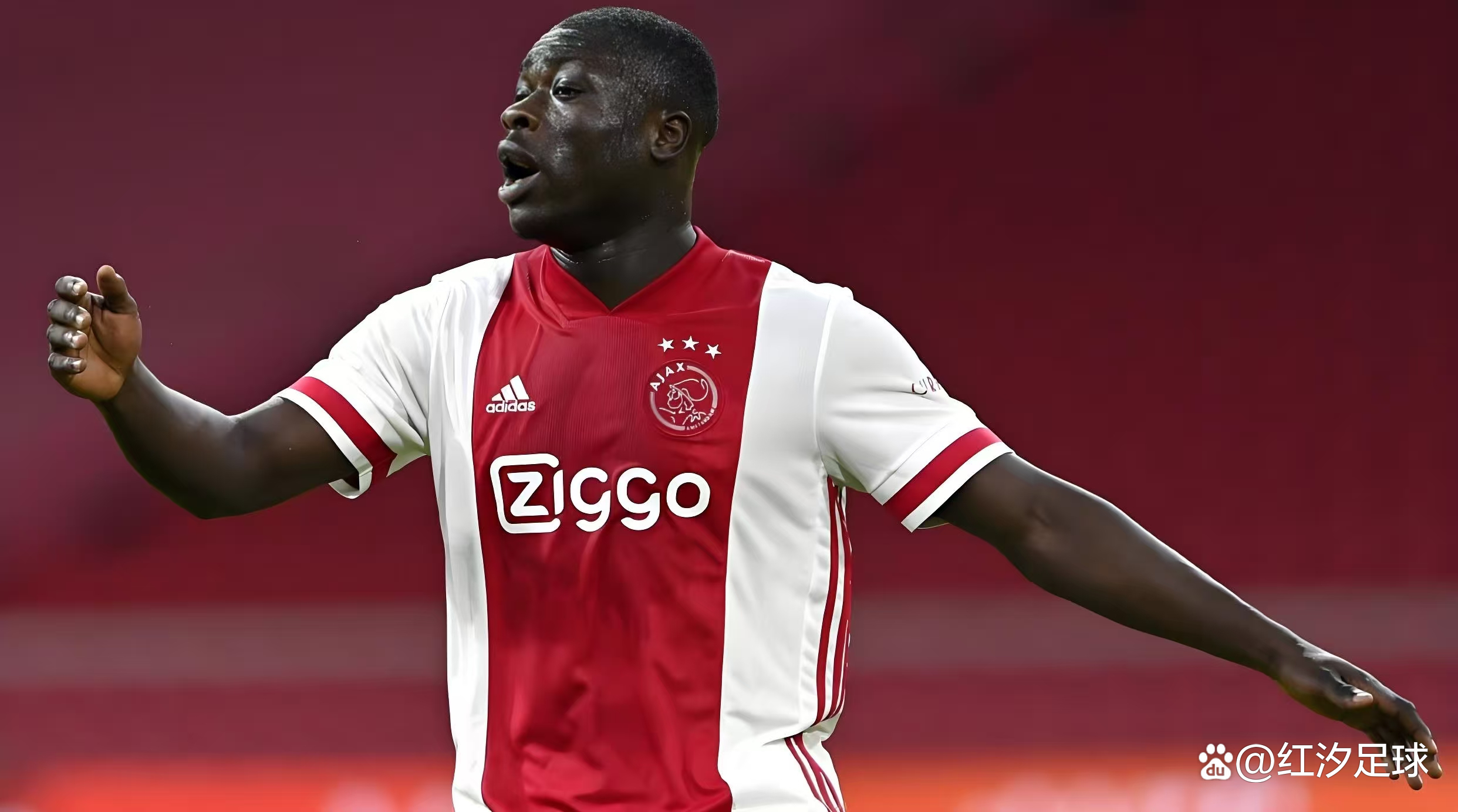 关于法兰克福新援发挥抢眼带领球队稳定发展的信息