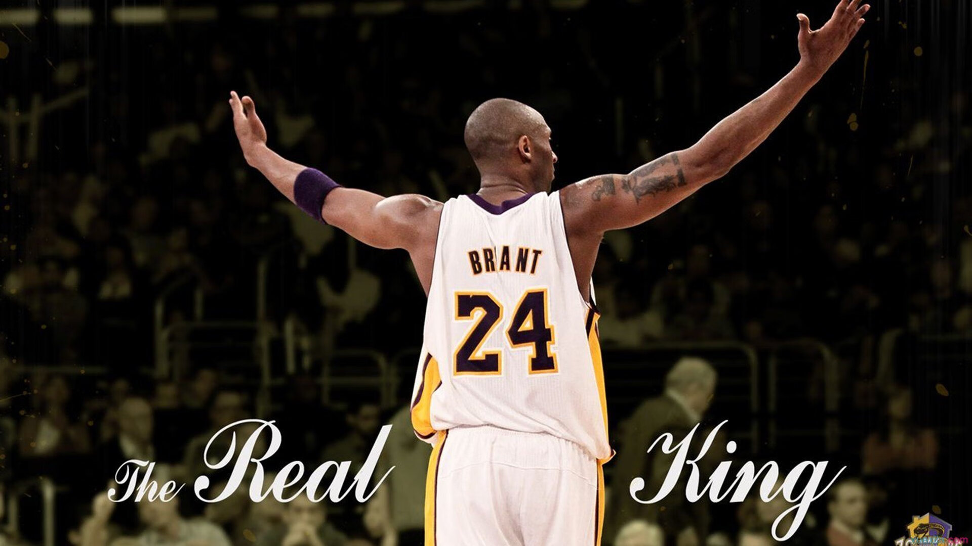 破茧与碾压，卡拉斯科救赎之夜，比利时黄金一代重现锋芒